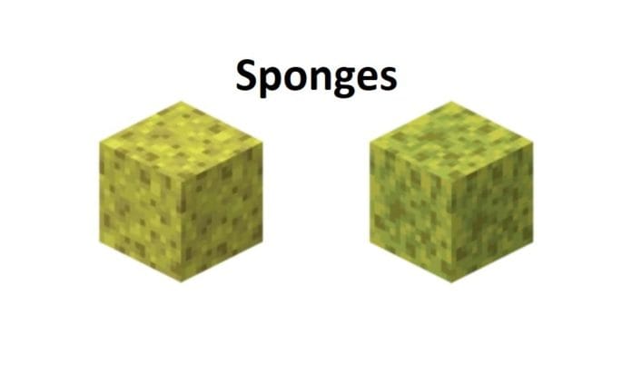 Sponge Sponge