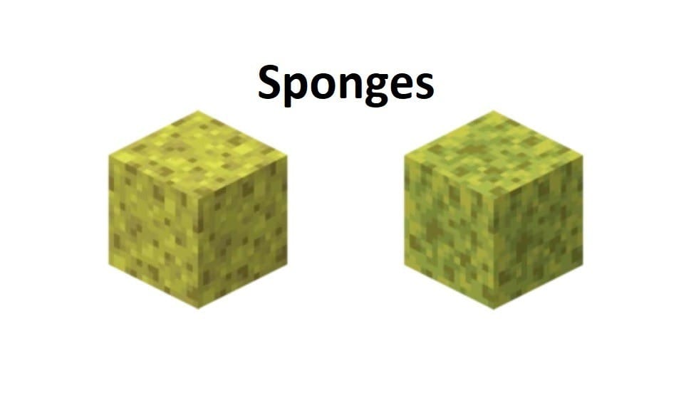 How to Get Sponges in Minecraft