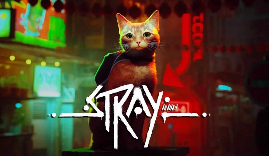 Stray