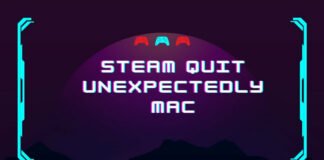Steam quit