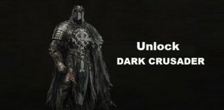 Dark Crusader
