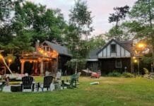 Ultimate Guide to Rejuvenating Your Outdoor Space Outdoor Space